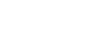 logo trasparente Gabriele Distefano web designer e consulente SEO